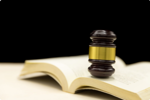 mspb appeals lawyer