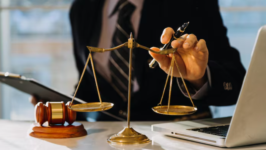 expert witness